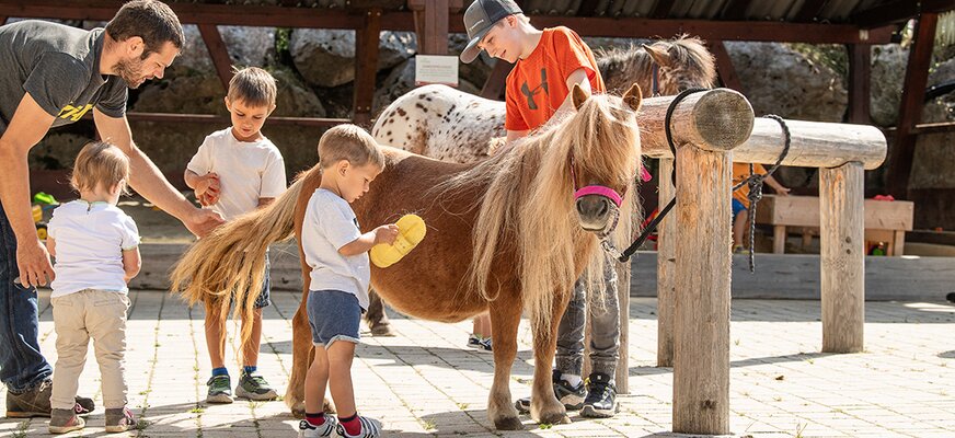 Kinder bei der Ponypflege