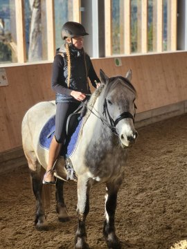 Mädchen sitzt auf einem Pferd in einer Reithalle