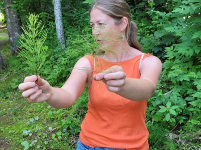 Frau im orangen Top und Jeansshorts hält zwei verschiedene grüne Pflanzen im Wald