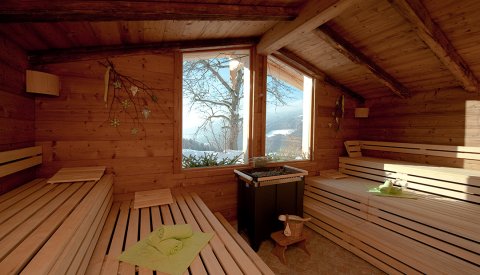 Panorama-Sauna mit Holzbänken und Winterausblick