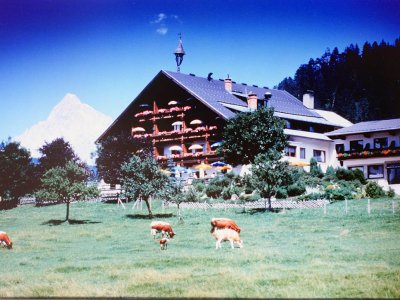 Altes Foto vom Hotel Seitenalm im Jahr 1985 mit Kühen auf der Wiese
