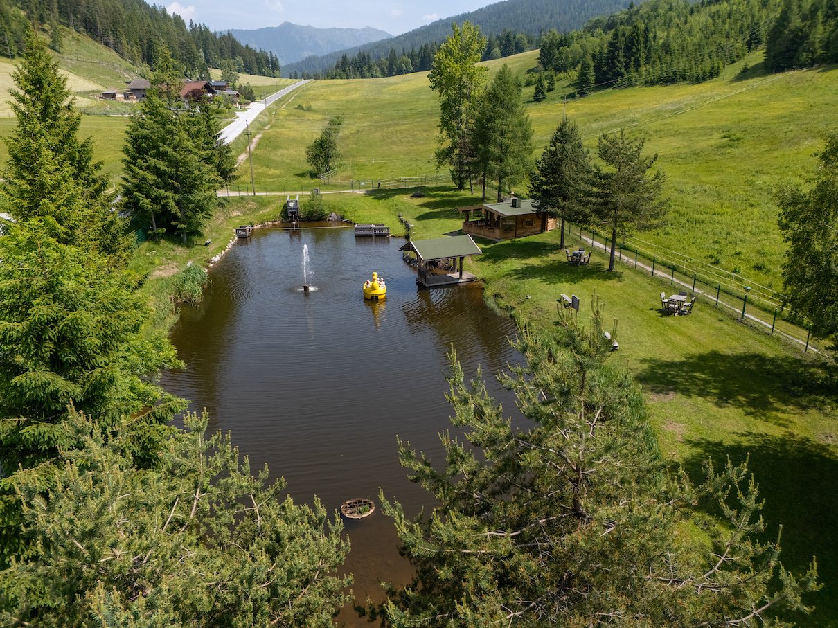 Naturteich mit Springbrunnen und Tretboot in idyllischer Wiesenlandschaft