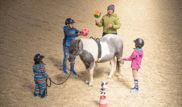 Kinder spielen mit Bällen rund um ein Pony beim Reitunterricht.