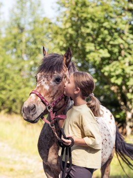 Mädchen küsst seitlich ein geschecktes Pferd im Freien vor Bäumen