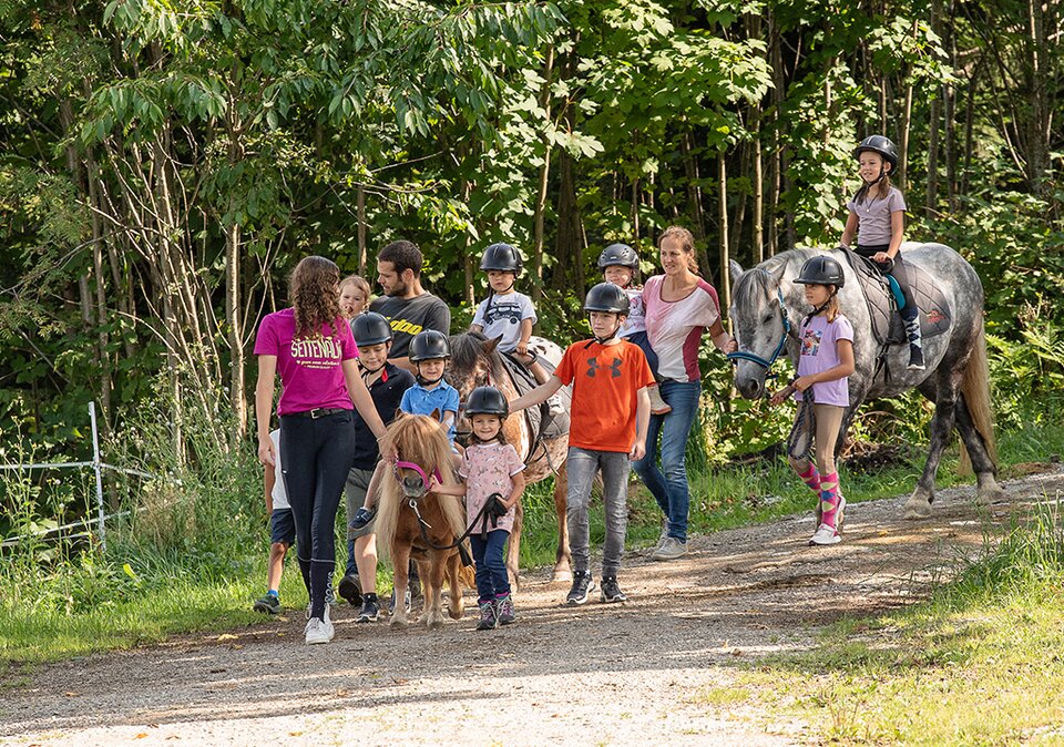 Gäste bei einer Ponywanderung