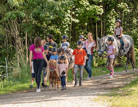 Gäste bei einer Ponywanderung