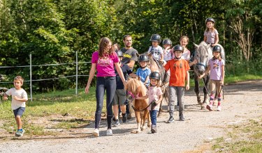 Kinder und Erwachsene führen gemeinsam Ponys auf einem sonnigen Waldweg.