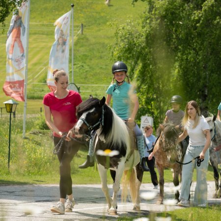 Gruppe von Kindern auf Ponys unterwegs auf einer Landstraße.