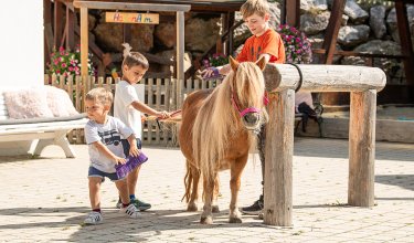 Kinder bürsten ein Pony im Freien am Putzplatz mit Holzanbindung.