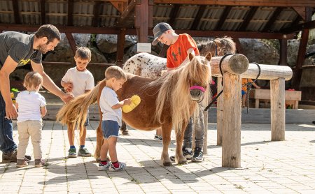 Kinder striegeln Ponys im Freien mit Unterstützung eines Erwachsenen.