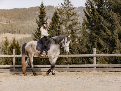 Frau mit Helm reitet auf grauem Pferd in eingezäuntem Bereich vor Nadelbäumen und Bergen