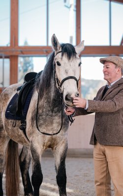 Älterer Mann füttert ein gesattelte graue Pferd in einer Reithalle mit großen Fenstern