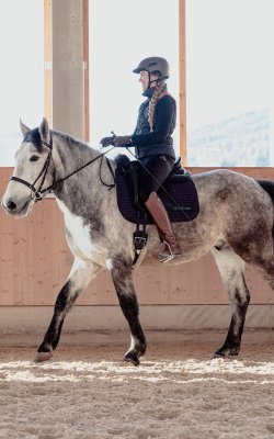 Seitliche Ansicht einer Frau mit Helm, die ein graues Pferd in einer Reithalle reitet
