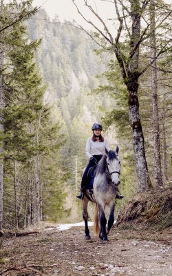 Frau reitet auf grauem Pferd auf Waldweg mit Bäumen und Bergen im Hintergrund