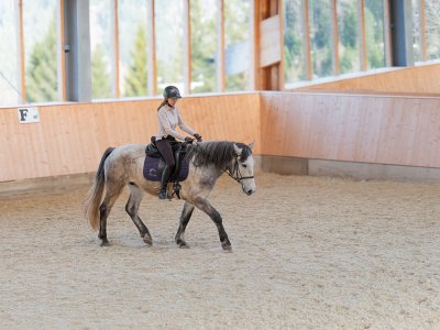 Frau reitet graues Pferd in einer hellen Reithalle mit Holzverkleidung