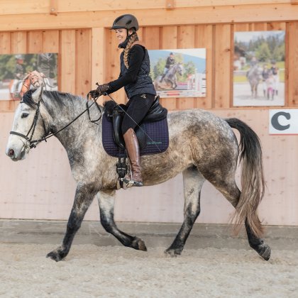 Frau reitet graues Pferd in Reithalle mit Holzverkleidung und Bildern an der Wand