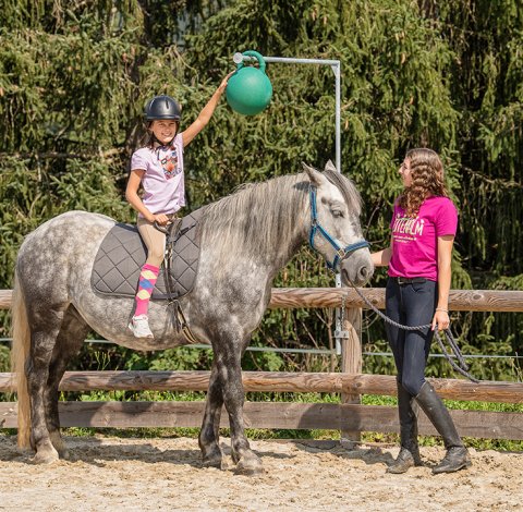 Mädchen auf Pferd greift nach grünem Ball bei Reitübung.