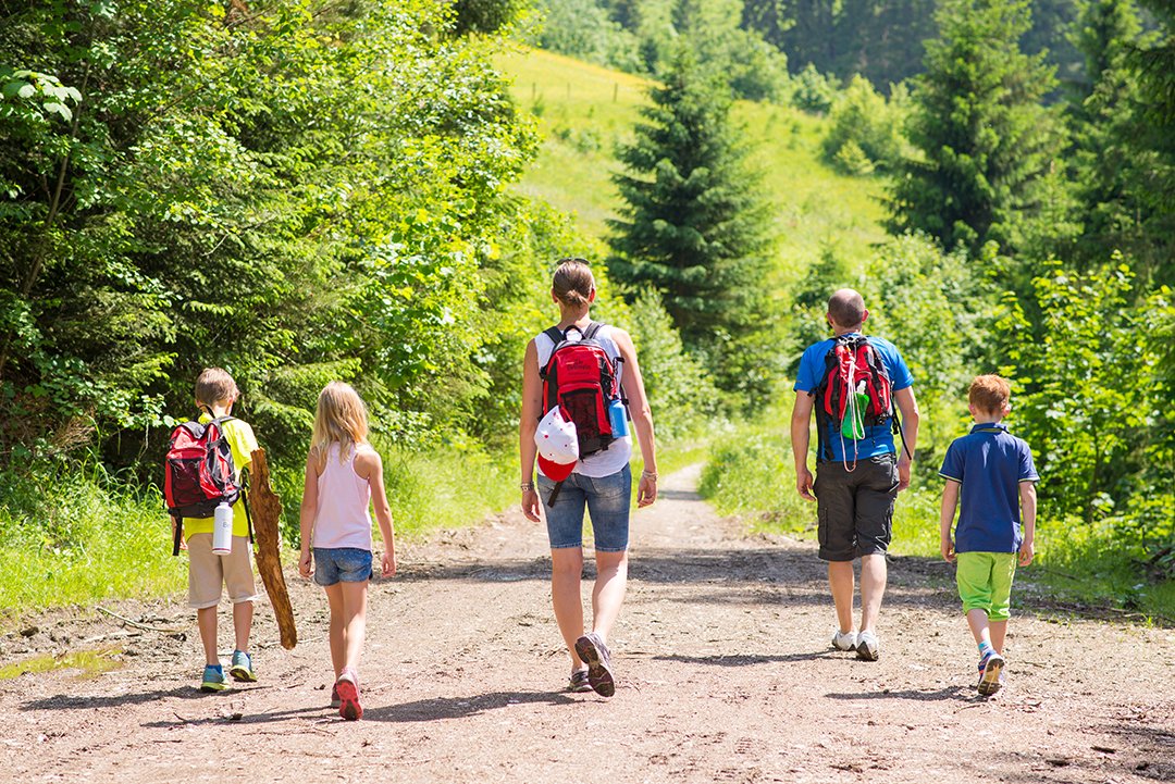 Familie wandert auf sonnigem Waldweg, Kinder tragen Äste.