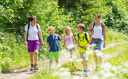 Familien wandern mit Kindern auf sonnigem Waldweg im Grünen.