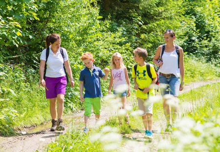 Familien wandern mit Kindern auf sonnigem Waldweg im Grünen.