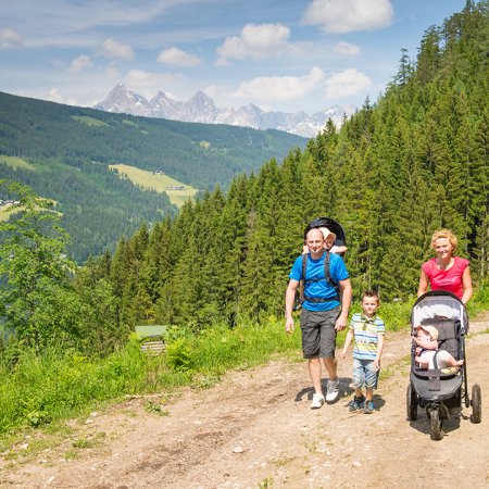 Familie wandert auf Panoramapfad mit Kinderwagen und Rückentrage.