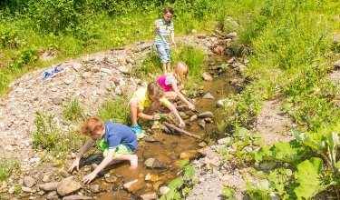 Kinder spielen am Bach und bauen mit Steinen und Ästen.