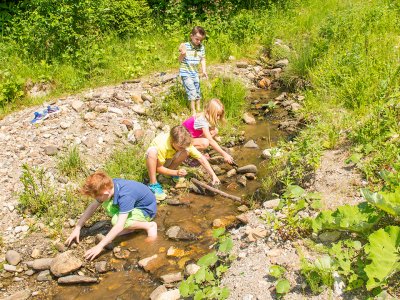Kinder spielen am Bach und bauen mit Steinen und Ästen.