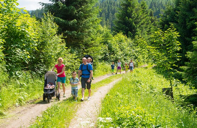 Familienwanderung mit Kinderwagen und Kindertrage