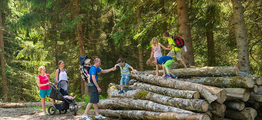 Familien beim Wandern und Entdecken