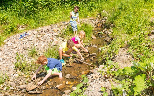 Kinder beim Spielen an einem Bach