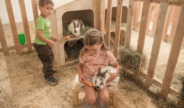 Kinder füttern und streicheln Kaninchen im Streichelbereich mit Heu und Holzzäunen.