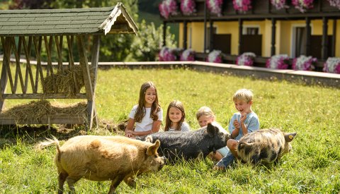 Kinder sitzen auf einer Wiese neben drei Schweinen vor einem Haus mit Blumenbalkonen