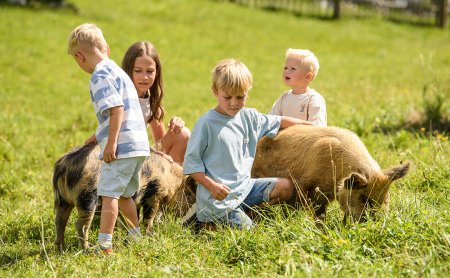 Kinder sitzen und stehen auf einer Wiese und streicheln zwei Schweine