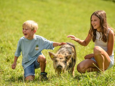 Zwei Kinder knien auf einer Wiese und streicheln ein Schwein zwischen ihnen