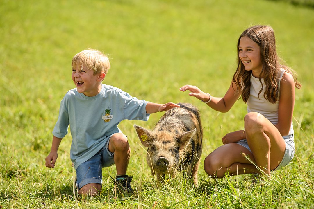 Zwei Kinder knien auf einer Wiese und streicheln ein Schwein zwischen ihnen