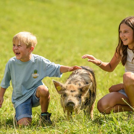 Zwei Kinder knien auf einer Wiese und streicheln ein Schwein zwischen ihnen