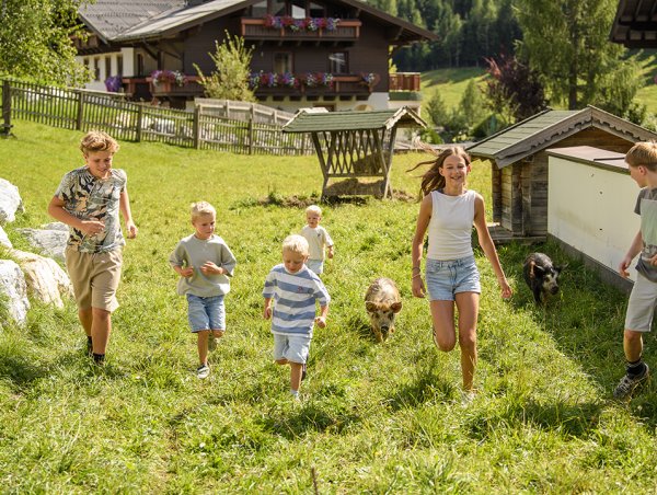 Kinder laufen fröhlich auf einer Wiese neben kleinen Schweinen vor einem Bauernhaus