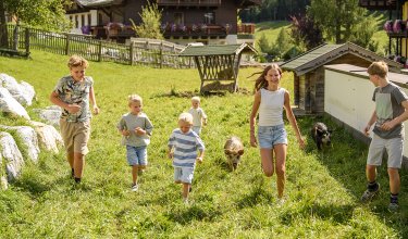 Kinder laufen fröhlich auf einer Wiese neben kleinen Schweinen vor einem Bauernhaus