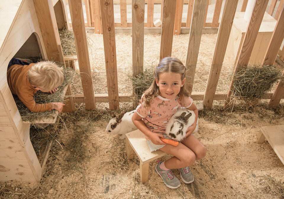 Kinder im Streichelzoo mit den Hasen