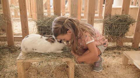 Kind mit Hase im Streichelzoo