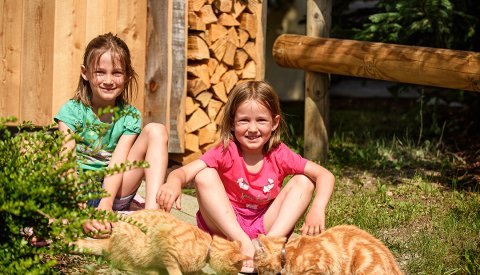Zwei Mädchen sitzen auf einem Weg und füttern drei orangefarbene Katzen.
