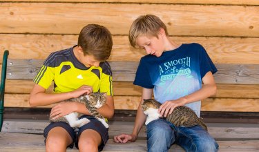 Zwei Jungen sitzen auf einer Bank und kuscheln mit Kätzchen.