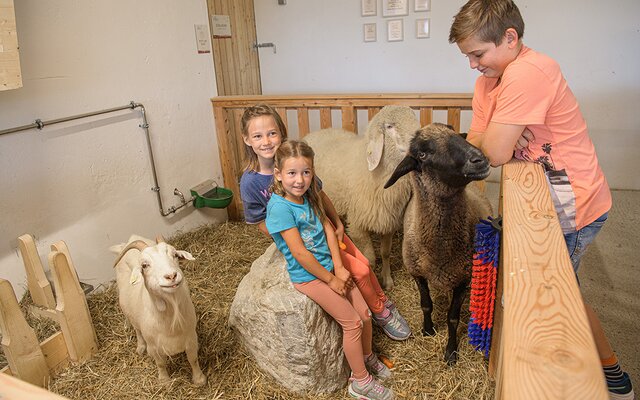 Kinder im Stall bei den Ziegen und Schafen