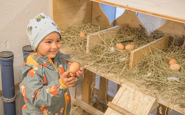Kind beim Eier sammeln im Hühnerstall