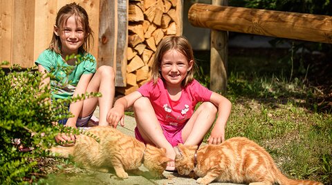 Kinder beim Katzen streicheln