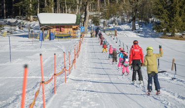 Skigruppe nutzt Schlepplift auf verschneiter Piste mit Waldblick.