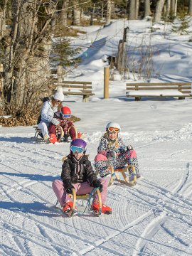 Kinder und Eltern rodeln gemeinsam auf verschneitem Waldweg.