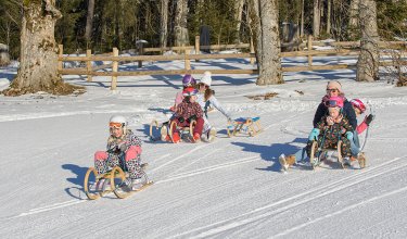 Familien und Kinder rodeln auf verschneitem Waldweg.