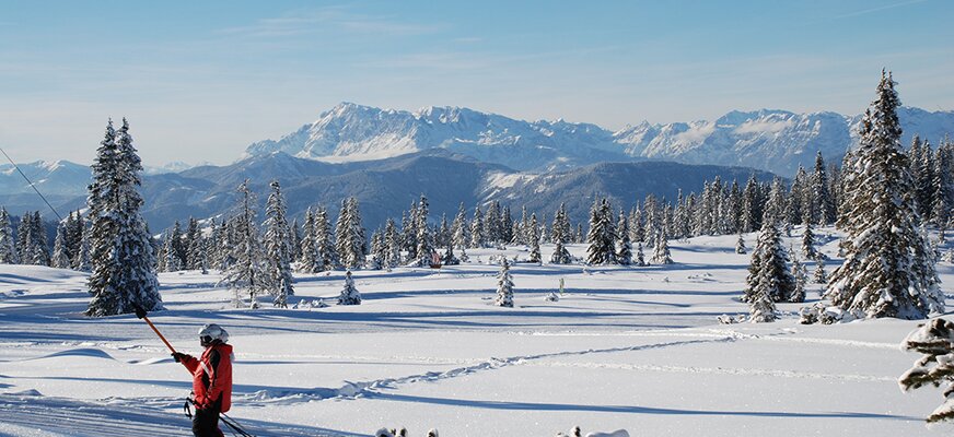 Skifahrer am Schlepplift vor der Winterlandschaft