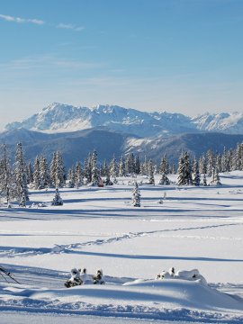 Skifahrer auf verschneitem Hochplateau mit Bergpanorama.